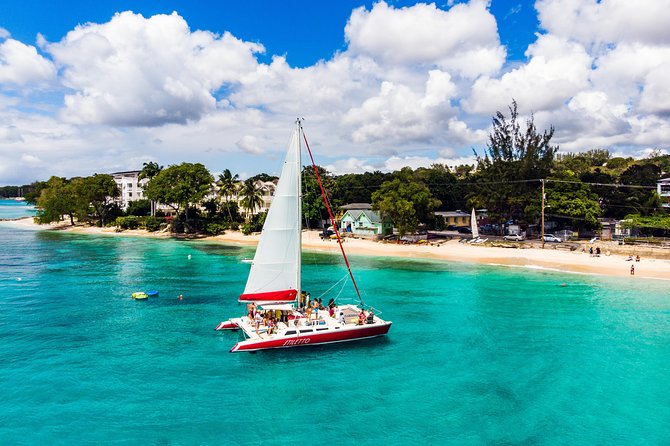 Barbados Catamaran Turtle Snorkel with Lunch and Open Bar - Life in the Water: Equipment, Comfort, and Safety Help
