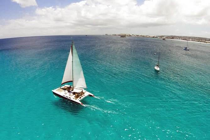 Barbados Catamaran Turtle Snorkel with Lunch and Open Bar - Lunch and Snacks: The Part That Makes the Whole Day Feel Worth It