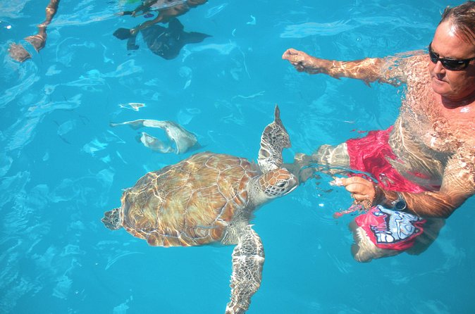 Barbados Catamaran Turtle Snorkel with Lunch and Open Bar - Seating Reality: Why You Should Pick Your Spot Early