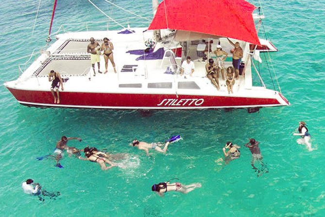 Barbados Catamaran Turtle Snorkel with Lunch and Open Bar - Getting Ready: Timing, Pickup, and What to Bring