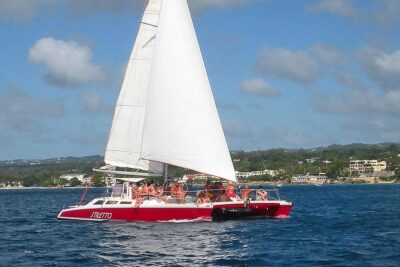 Barbados Catamaran Turtle Snorkel with Open Bar - Carlisle Bay turtle stop: what 50 minutes feels like in real life