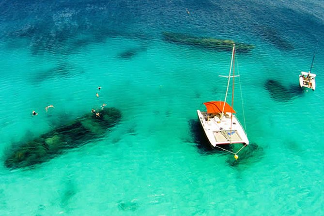 Barbados Catamaran Turtle Snorkel with Open Bar - Gear, safety, and first-timer comfort (this is where the crew shines)