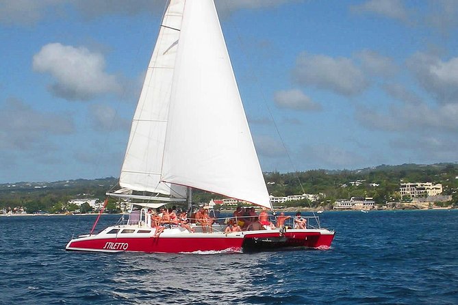 Barbados Catamaran Turtle Snorkel with Open Bar - Carlisle Bay turtle stop: what 50 minutes feels like in real life