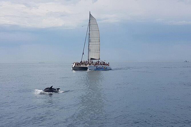 Barcelona Catamaran Party Tour For Young People - Where You Meet and How to Show Up Without Stress