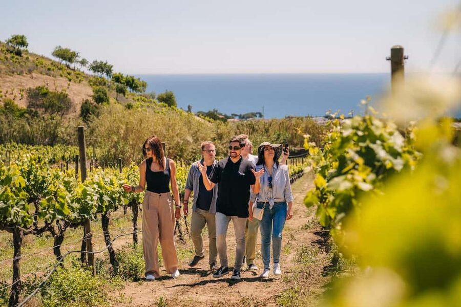 Barcelona: Sailing Cruise & Vineyard Tour with Wine Tasting - Should you book this Barcelona sailing and Alella wine tasting?