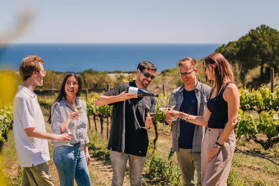 Barcelona: Sailing Cruise & Vineyard Tour with Wine Tasting - Inside the 14th-century winery: vineyard walk plus cellar visit