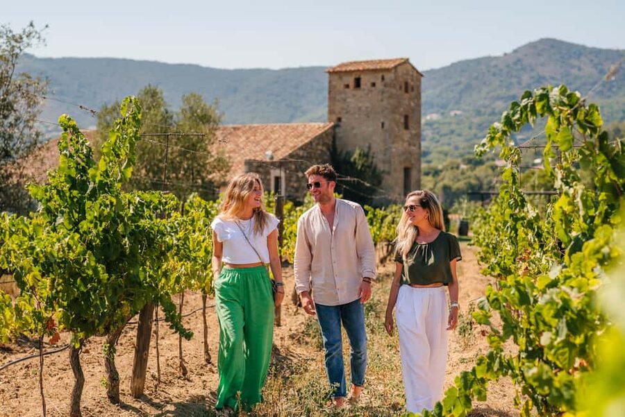 Barcelona: Sailing Cruise & Vineyard Tour with Wine Tasting - Value check: is $159 worth it for Barcelona and Alella?