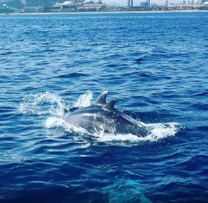 Barcelona: Sailing Tour with Drinks and Snacks - The Swim Stop in the Mediterranean Sea: 30 Minutes to Reset