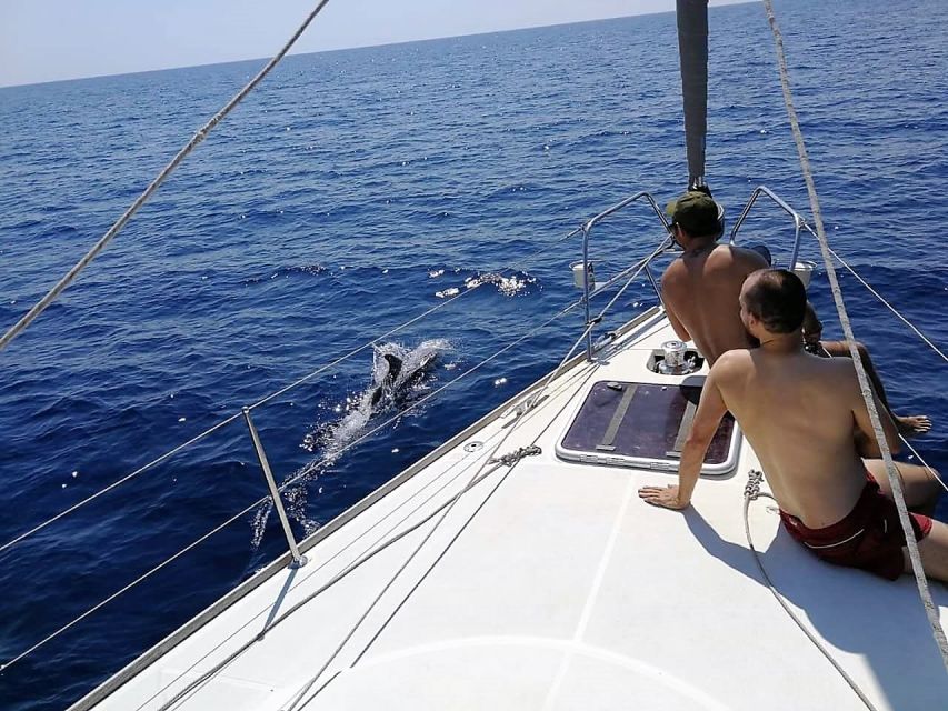 Barcelona: Sailing Trip with Drinks and Snacks - The 30-minute swim and photo stop: the best use of your time