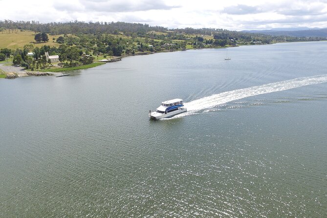 Batman Bridge 4 Hour Luncheon Cruise including sailing into the Cataract Gorge - Batman Bridge: Why a Short Structure Moment Still Feels Worth It