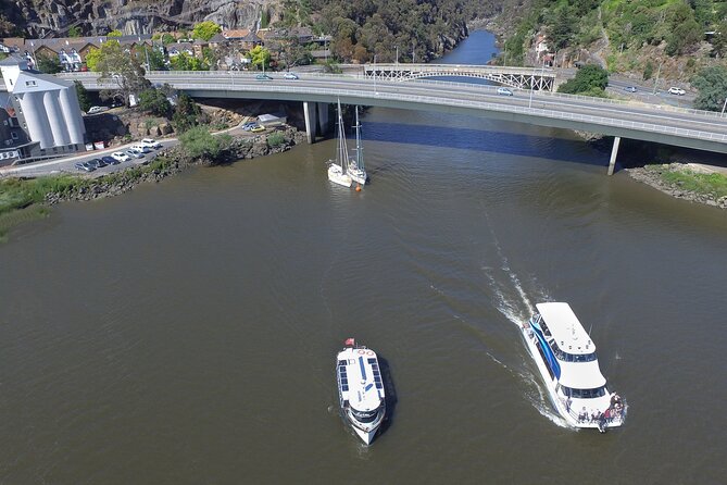 Batman Bridge 4 Hour Luncheon Cruise including sailing into the Cataract Gorge - Food and Drink Onboard: What the Meal Feels Like in Real Life