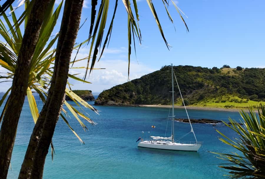 Bay of Islands: Awesome Day Sailing Tour with Island Stop - Quick hits on Gungha II in Paihia