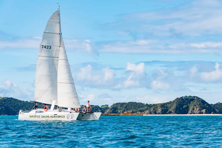 Bay of Islands: Catamaran Sail, Wildlife Island & Lunch - Why This Catamaran Day Feels More Like Sailing Than Tours