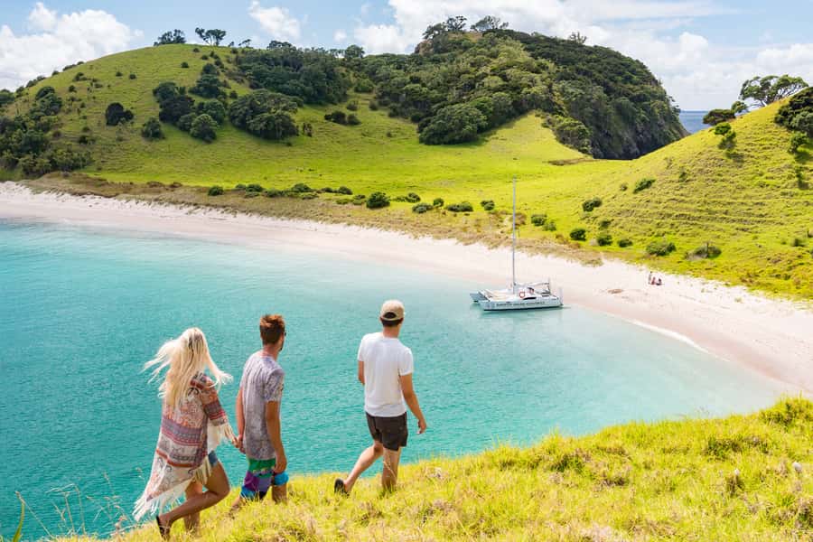 Bay of Islands: Catamaran Sail, Wildlife Island & Lunch - Wildlife Sanctuary Island Stop: Your 2 Hours to Snorkel, Paddle, Hike