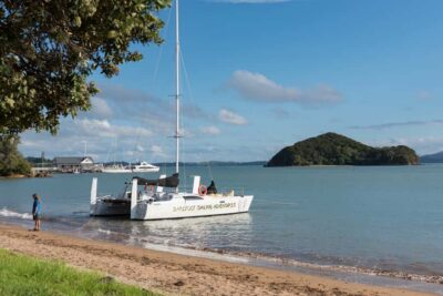 Bay of Islands: Catamaran Sail, Wildlife Island & Lunch - The Morning Bay Cruise: 2 Hours of Islands, Birds, and Real Deck Time