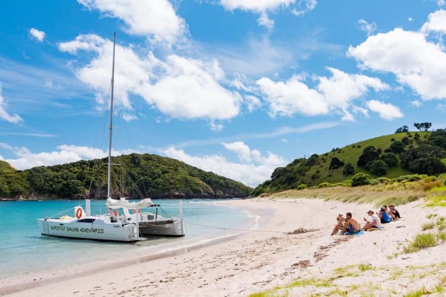 Bay of Islands: Catamaran Sail, Wildlife Island & Lunch - Price and Value: What $134 Really Buys You
