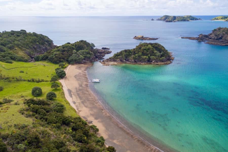 Bay of Islands: Catamaran Sail, Wildlife Island & Lunch - Who This Tour Suits Best (And Who Should Rethink It)