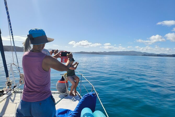 Bay of Islands: Day Sailing Cruise with Island Stop and Lunch - Hosts who run the day, not just a schedule