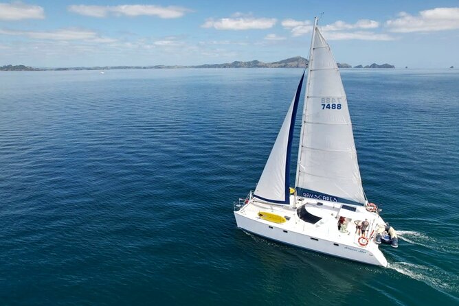 Bay of Islands: Day Sailing Cruise with Island Stop and Lunch - Price and value: is $133.42 worth it?