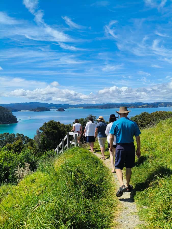 Bay of Islands: Day Sailing Cruise with Island Stop & Lunch - Your packing reality: shoes off, and the breeze gets stronger