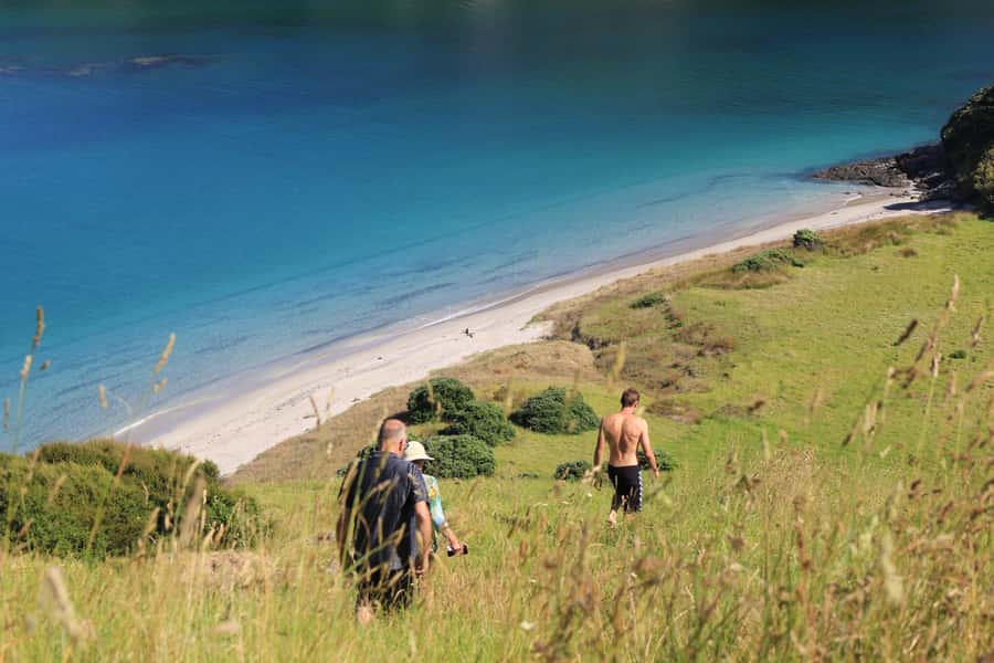 Bay of Islands: Day Sailing Cruise with Island Stop & Lunch - The secret stop: snorkeling, SUP, swimming, and a walk if you want it