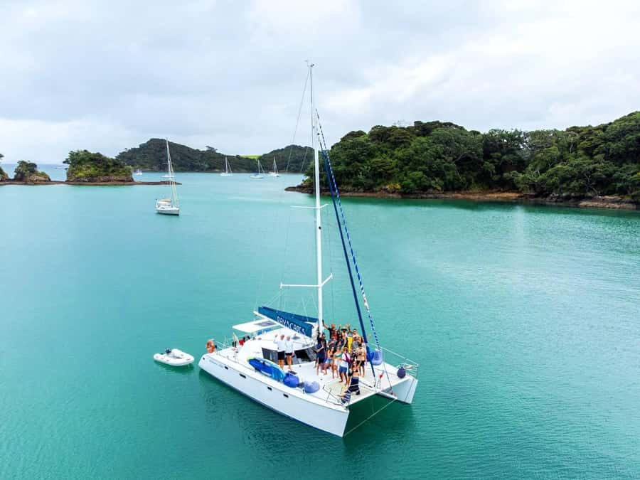 Bay of Islands: Day Sailing Cruise with Island Stop & Lunch - Return sail to Paihia: the best part of a full day