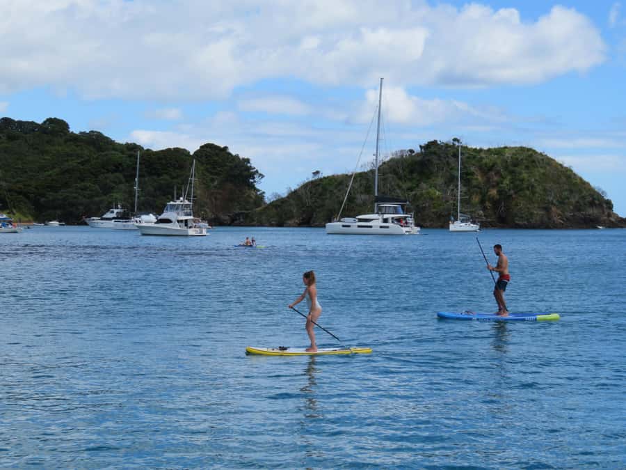 Bay of Islands: Day Sailing Cruise with Island Stop & Lunch - Price and value at $128: what you’re truly buying