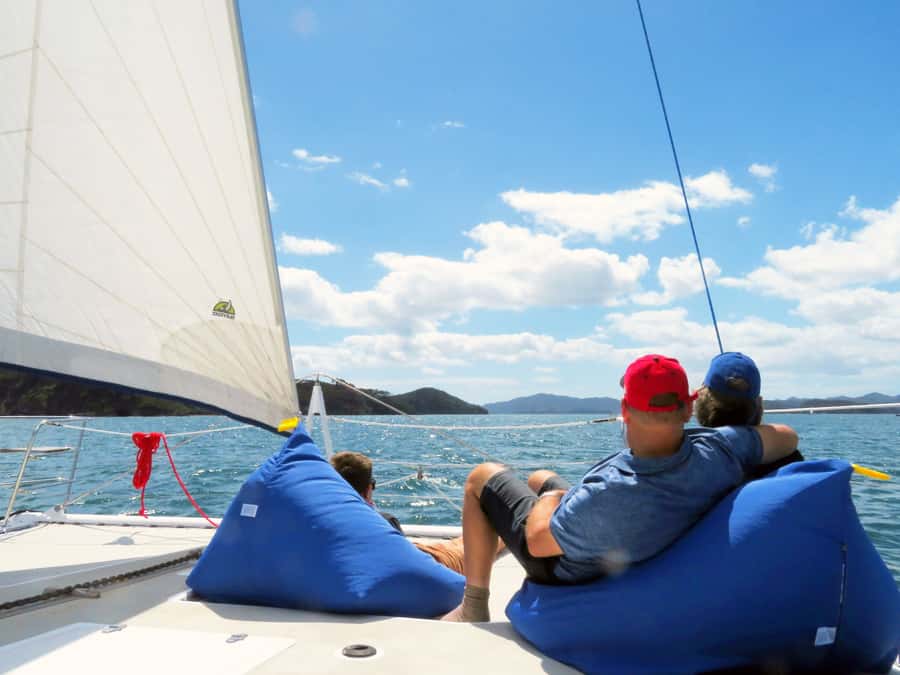 Bay of Islands: Day Sailing Cruise with Island Stop & Lunch - Sailing out in the Bay of Islands: views, wildlife, and what to expect