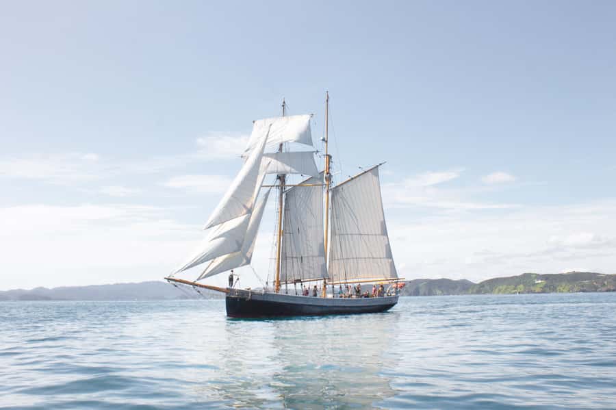 Bay of Islands: Full-Day Tall Ship Sailing Excursion - Stepping aboard R. Tucker Thompson at Russell Wharf