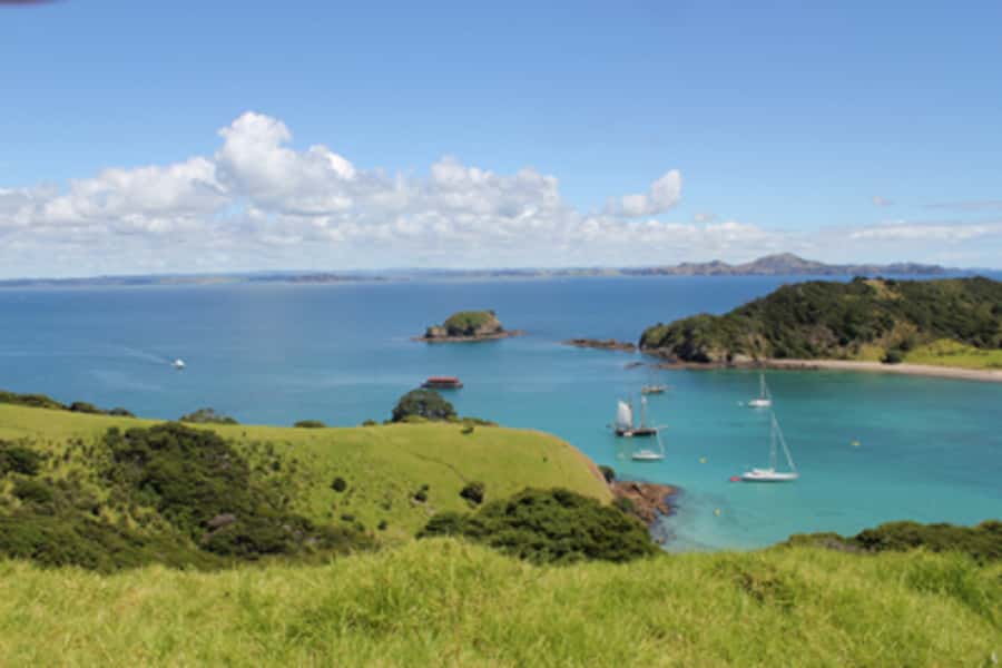 Bay of Islands: Full-Day Tall Ship Sailing Excursion - Lunch anchored in a secluded bay: swim breaks and rope-swing fun