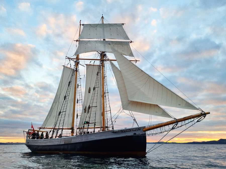 Bay of Islands: Late Afternoon Sailing Cruise - Late-afternoon timing on the Bay of Islands: why 4pm works
