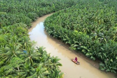 Ben Tre Mekong Zig Zag: Scooter, Sailboat, and Food (Full day) - Village life stop: traditions, plants, and real conversation