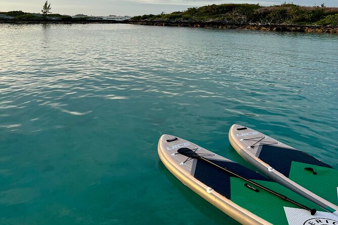 Bermuda Private Catamaran:Snorkeling, Shipwrecks & Cliff Jumping - The boat experience: comfort for sun, shade, and bathroom breaks