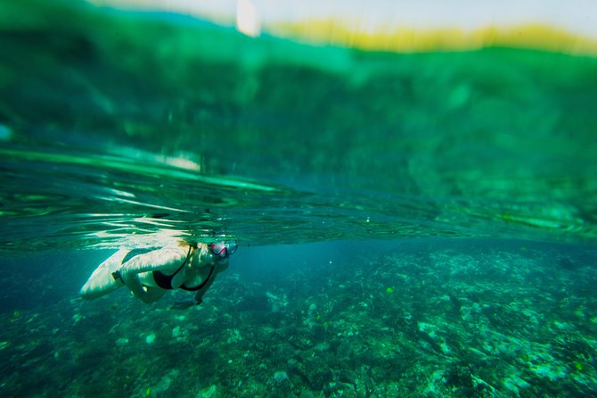 Big Island: Captain Cook Snorkel On A Power Catamaran With Lunch - Key Points Before You Go