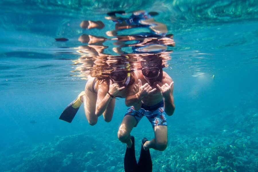 Big Island: Morning Snorkel Sail to Captain Cook's Monument - Spinner dolphins sightings without the long search