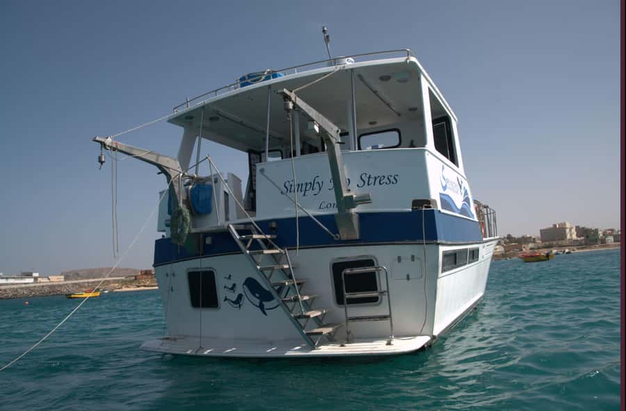 Boa Vista: Whale Watching Trip with Motoryacht - What’s included (and what isn’t): drinks, biologist, and the food gap