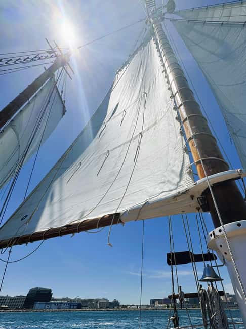 Boston: Tall Ship Harbor Sail - Boston Harbor on a Tall Ship: what 90 minutes feels like