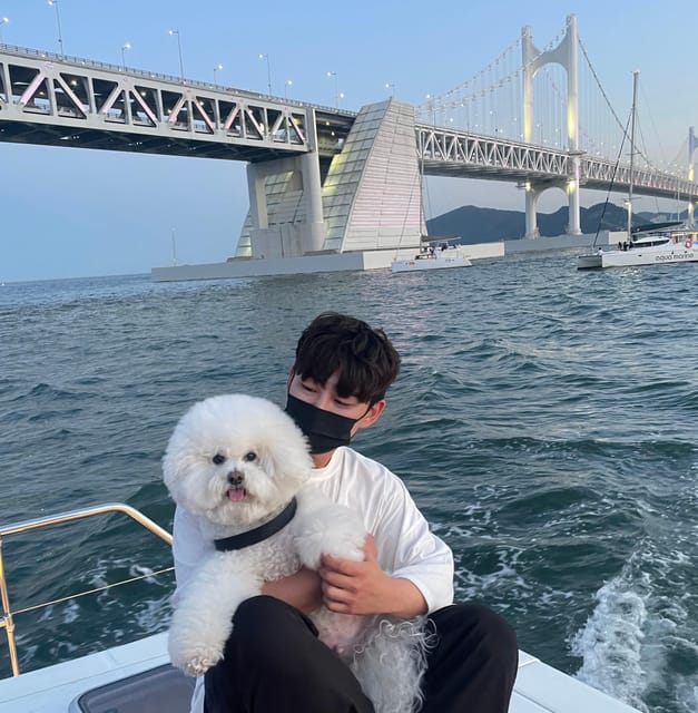Busan: Group Sightseeing Yacht Cruise with Snacks and Drinks - Key things to know before you go