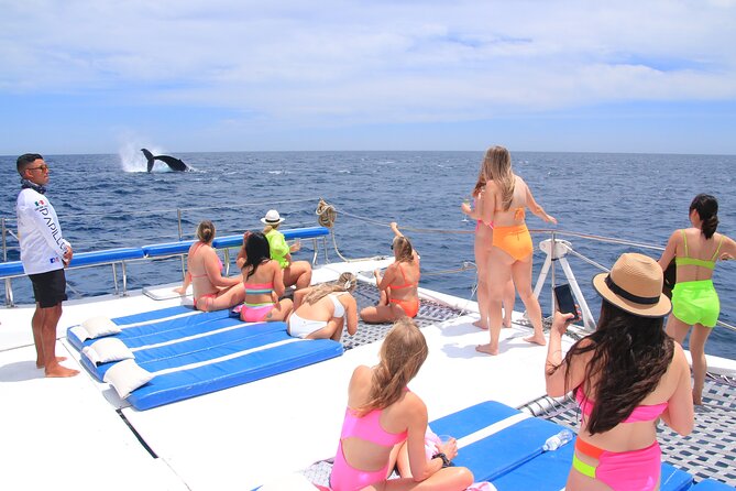 Cabo San Lucas All-Inclusive Private Catamaran Snorkeling Cruise - Whale Season: What December–March Adds to the Day