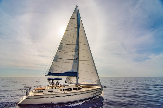 Cabo San Lucas Sunset Sailing Shared Cruise - Sailing the land’s end: sea lions, Lover’s Beach, and the Baja coast vibe