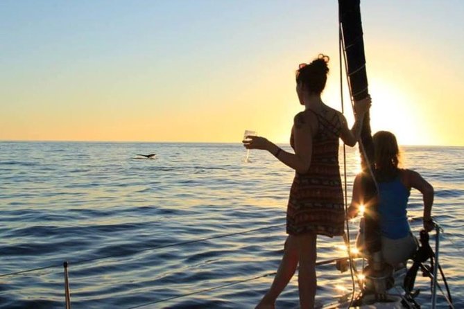 Cabo San Lucas Sunset Sailing Shared Cruise - The crew experience: why names keep coming up