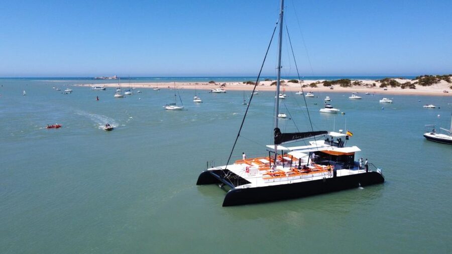 Cádiz: Bay of Cádiz Catamaran Tour with Host - Key highlights you’ll actually care about