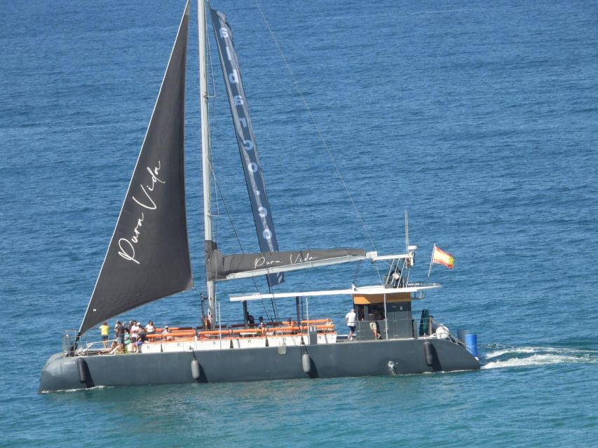 Cádiz: Bay of Cádiz Catamaran Tour with Host - Finding the boat fast: where to board at Cádiz Port