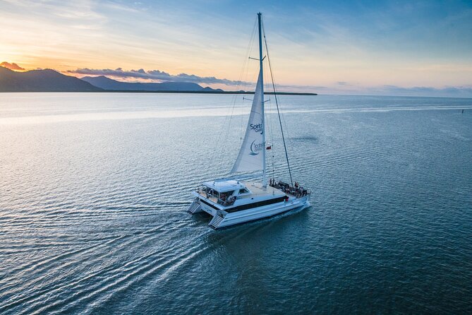 Cairns Catamaran Harbour and Dinner Cruise - Cairns From the Water: The Real Appeal of This Dinner Cruise