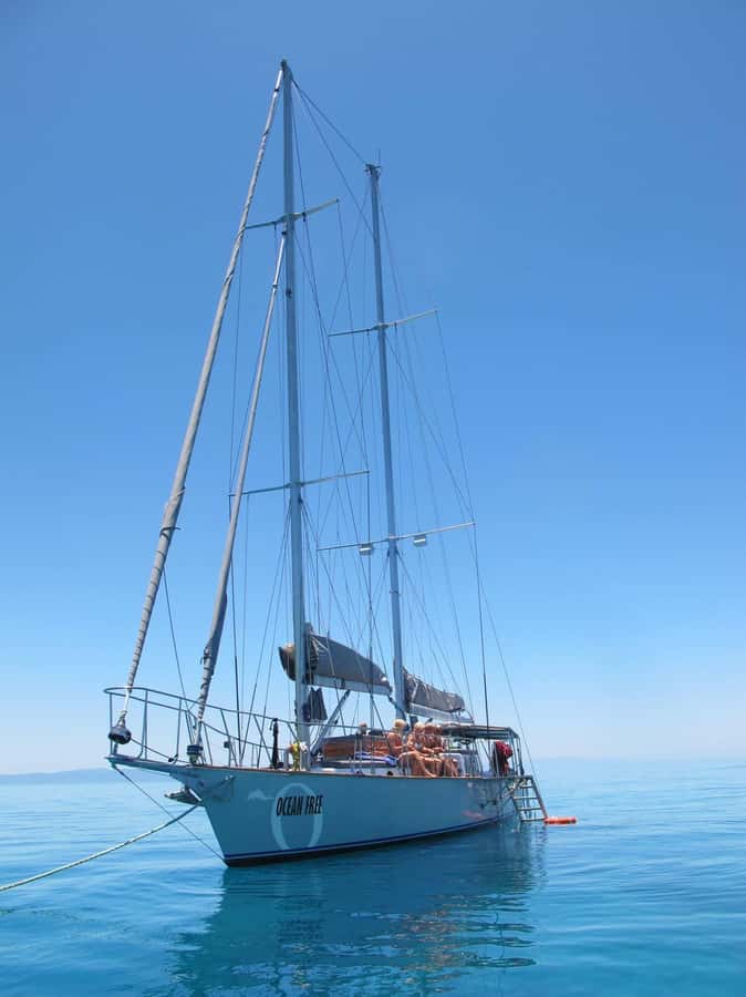 Cairns: Green Island & Great Barrier Reef Sailing Tour - Should You Book This Cairns Reef and Green Island Sailing Tour?