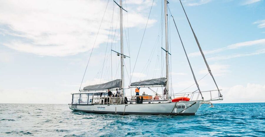 Cairns: Green Island & Great Barrier Reef Sailing Tour - The Lunch Stop That Actually Feels Like Lunch