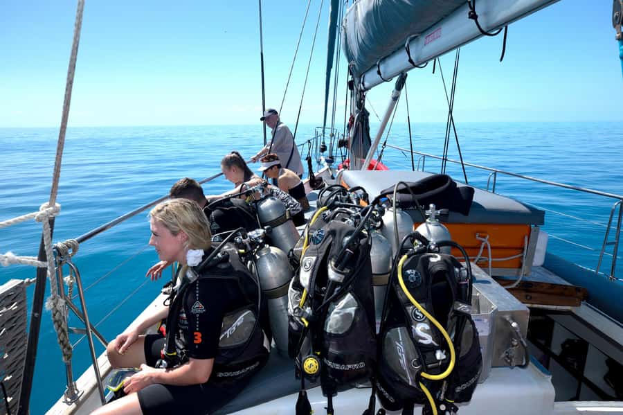 Cairns: Green Island & Great Barrier Reef Sailing Tour - The Afternoon Reef Window and the Wind-Only Sail Home