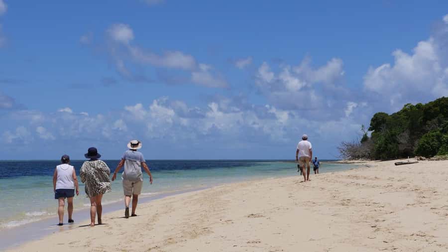 Cairns: Green Island & Great Barrier Reef Sailing Tour - Price, Fees, and Whether $183 Actually Represents Good Value