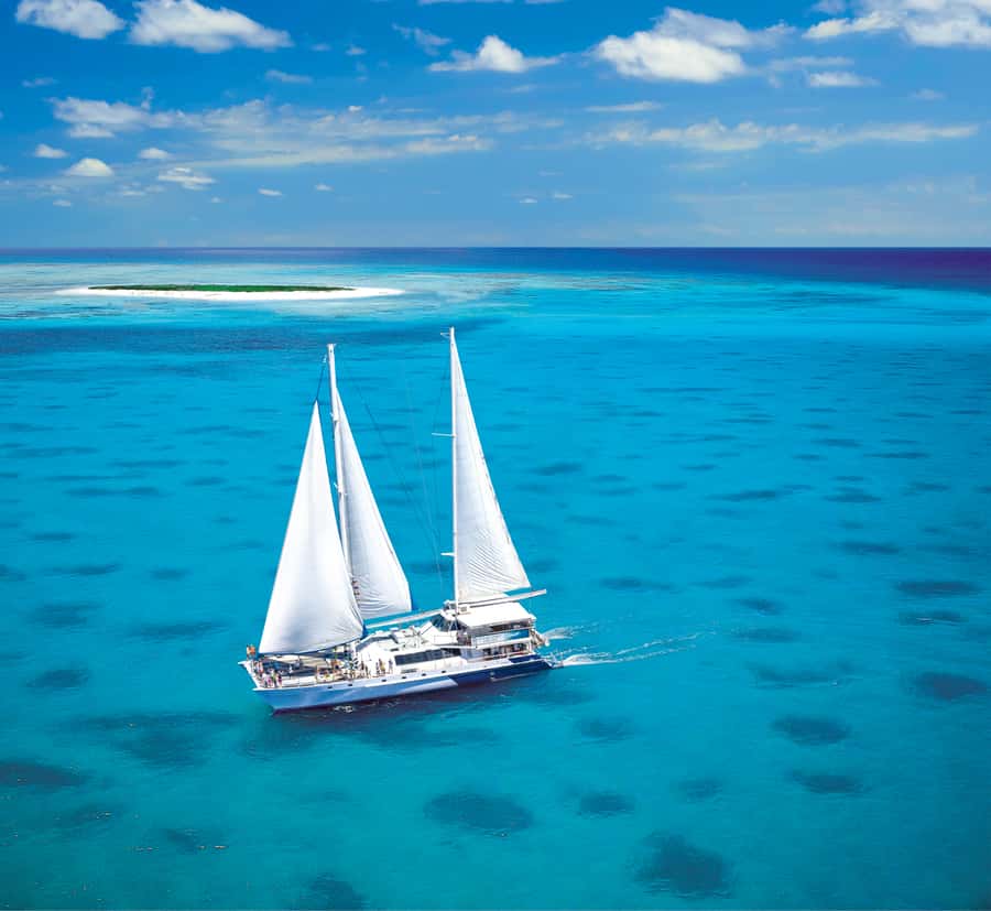 Cairns: Ocean Spirit Great Barrier Reef Full Day Tour - Key things that make this tour worth your time