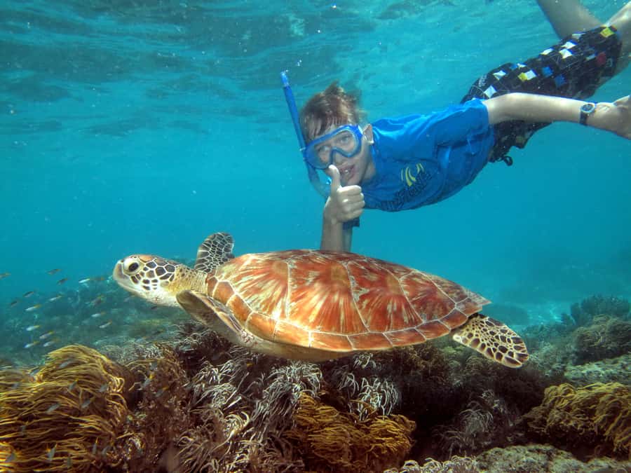 Cairns: Ocean Spirit Great Barrier Reef Full Day Tour - Cairns to Michaelmas Cay: Why This Reef Day Feels Different